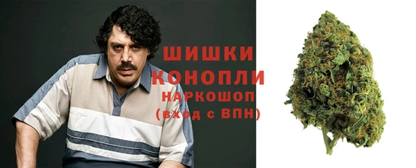 ГАЛЛЮЦИНОГЕННЫЕ ГРИБЫ Майский