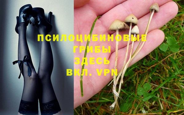 ALPHA PVP Магас
