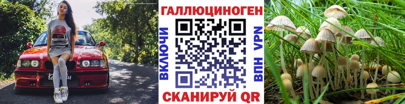 Купить закладки  Старая Купавна  Псилоцибиновые грибы ЛСД 